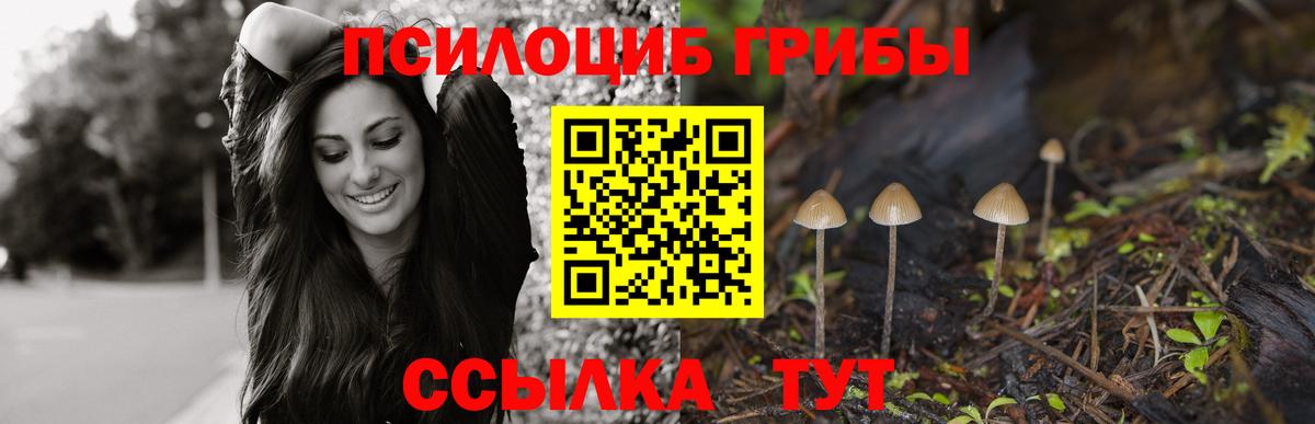 Ангарск  Галлюциногенные грибы Cubensis  Вход с VPN 